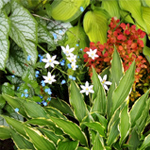 Аватара пользователя