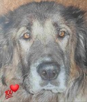 Аватара пользователя