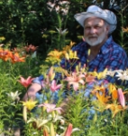 Аватара пользователя