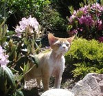 Аватара пользователя