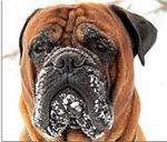 Аватара пользователя