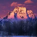 Аватара пользователя